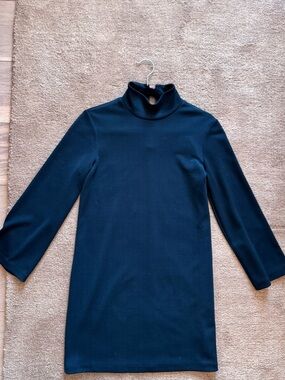 Club Monaco Black Long Sleeve Turtleneck Dress